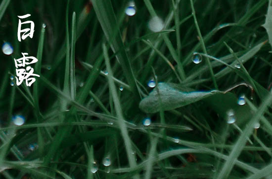 白露养生看这理 白露养生这样做