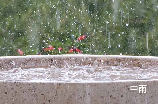 7月6日沈阳会下雨 今日中雨温度24℃~20℃