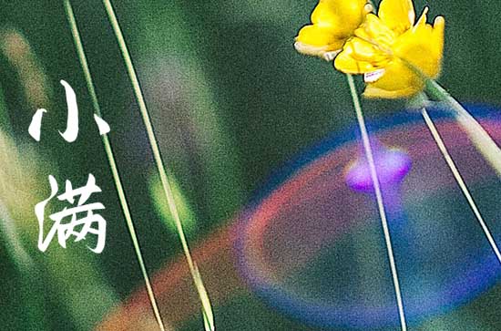 小满中的满是指满月吗