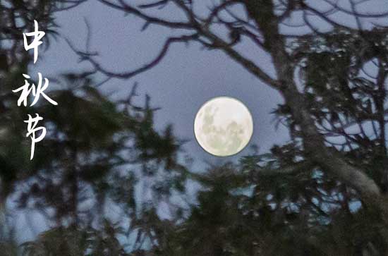 2024中秋节农历是什么时候 2024中秋节那天扫墓好不好