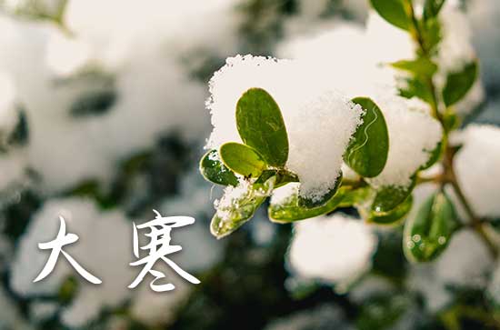 今日是大寒吗？2024年大寒是农历几月几日