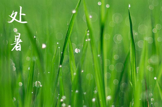 2024处暑是哪天 2024处暑这天宜做什么