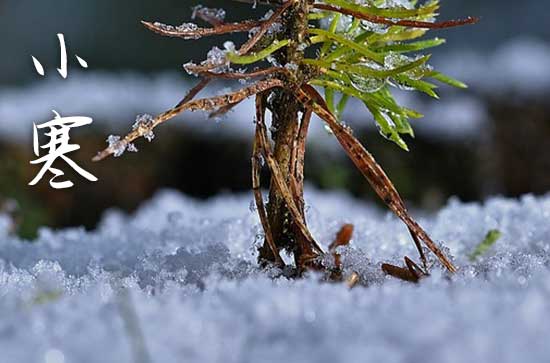 小寒唯美祝福语(8篇)