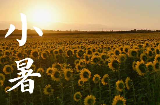 小暑热还是大暑热 小暑和大暑相差几天