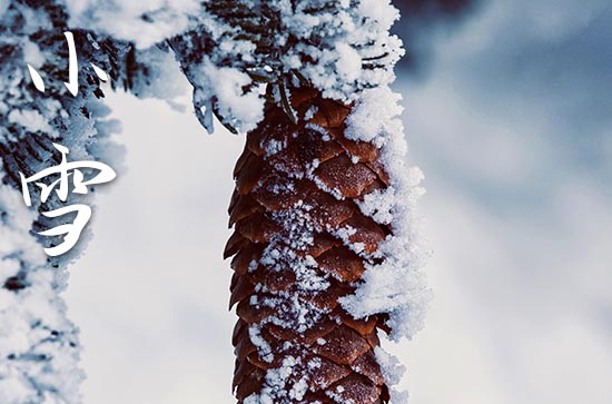 2023小雪节气结婚好吗 节气是小雪结婚好吗