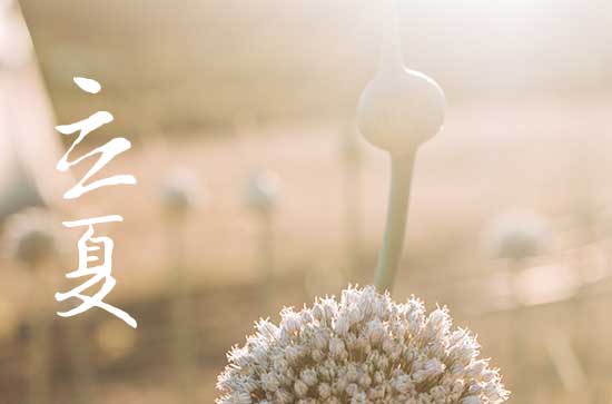 立夏吃什么风俗食物