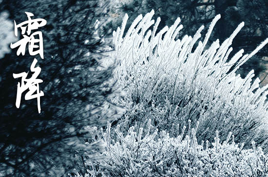 霜降的优美祝福语