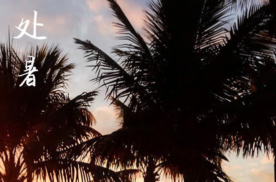 2024年处暑是哪一天 2024年处暑弄畋猎适合吗