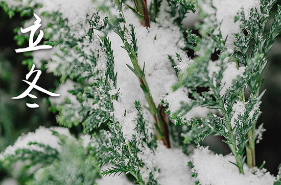 最新的立冬当天暖心的祝福句子