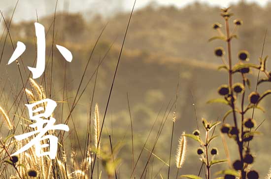 2024小暑是哪天 2024年7月6日小暑当天做寿好吗