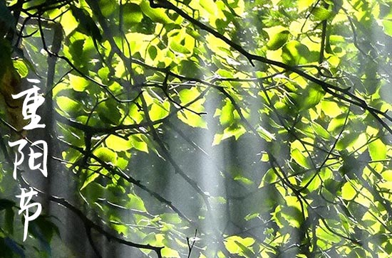 2023重阳节怎么放假