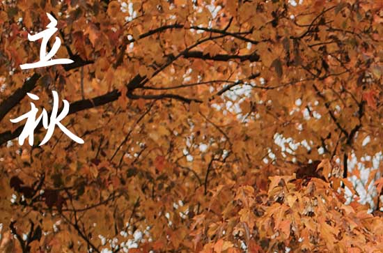 立秋是几月几号2024年 2024年立秋去医院合适吗 立秋是几月几号2024年 2024年立秋去医院合适吗