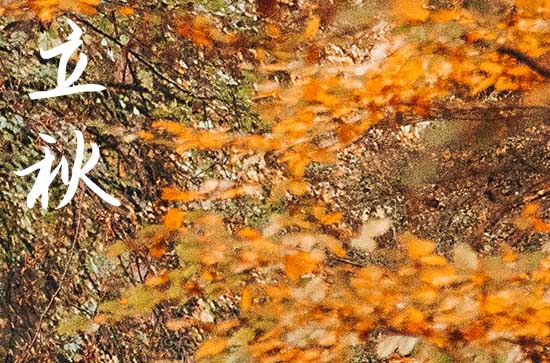 2024年立秋是几点几分几秒 2024年8月7日立秋黄历