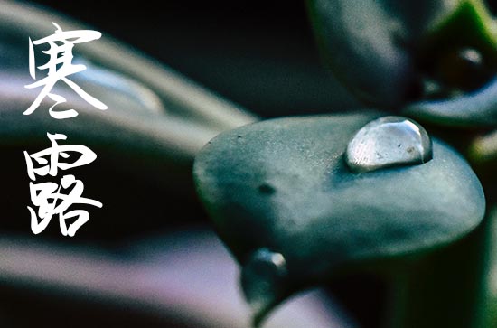 寒露24节气中首个带“寒”的节气 具体几点几分几秒