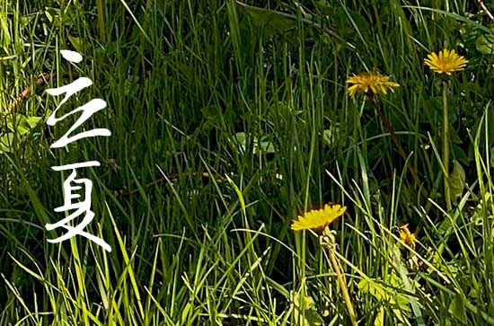 2024年立夏是几月几日 2024年5月5日立夏这天宜还愿吗