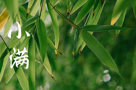 明日小满几点几分，2023年小满具体时间