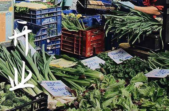 农历九月属蛇店铺开张黄道吉日查询 2024年属蛇农历九月最佳的店铺开张日子 农历九月属蛇店铺开张黄道吉日查询 2024年属蛇农历九月最佳的店铺开张日子