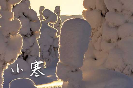 小寒的祝福语(14篇)