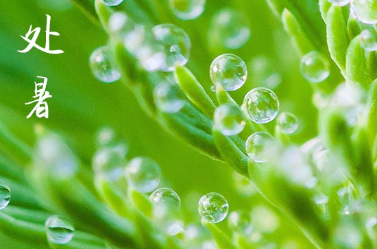 处暑节气民俗 处暑有哪些民俗活动