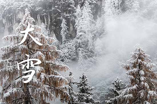 大雪节气祝福语(15篇)