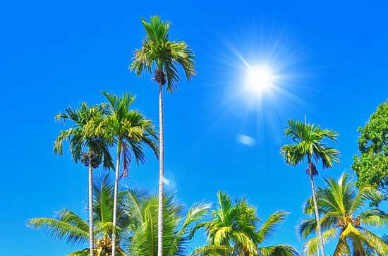 抚州9月5日天气预报:高温35℃~低温25℃，晴，不会下雨