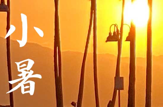 小暑大暑上蒸下煮什么意思   小暑和大暑到底哪个热