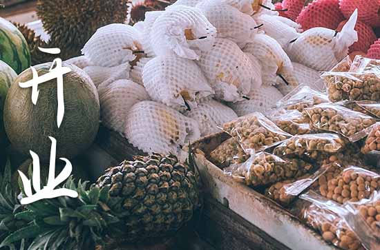 属鼠农历九月最吉利的开业日子 2024年属鼠农历九月最佳的开业日子 属鼠农历九月最吉利的开业日子 2024年属鼠农历九月最佳的开业日子