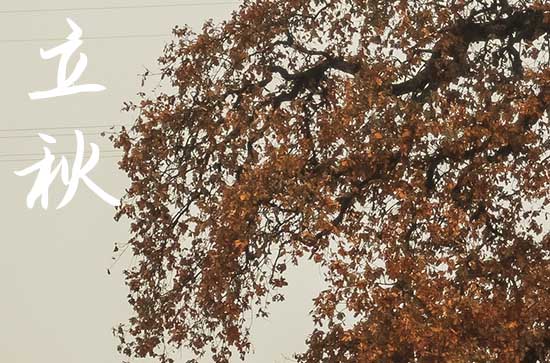 2024年立秋是几点几分几秒 2024立秋这天可以开学吗