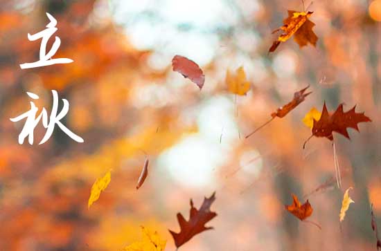 2024年立秋是哪一天 2024年立秋剪头发吉利吗 2024年立秋是哪一天 2024年立秋剪头发吉利吗