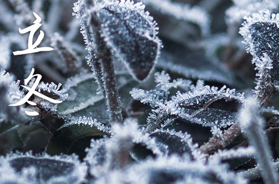 2024年什么时候立冬 2024立冬当天可以开张吗 2024年什么时候立冬 2024立冬当天可以开张吗