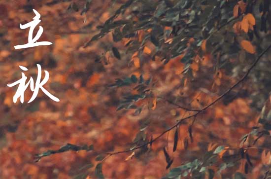 今日立秋几点几分2024