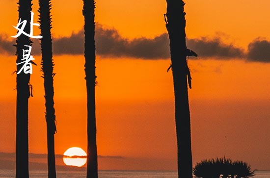 2024年处暑是具体哪一天 2024处暑那天还愿好吗