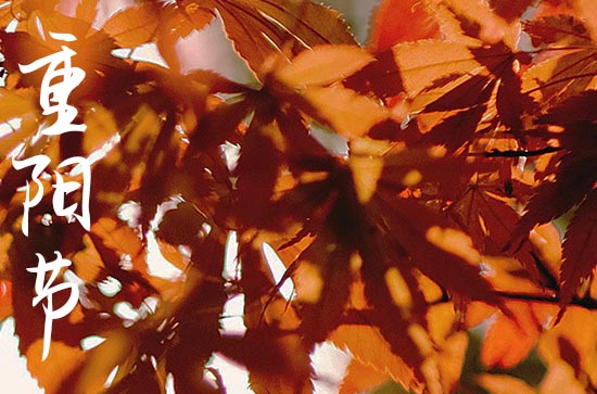 茱萸枝有避邪的功效 重阳节喝茱萸酒的原因