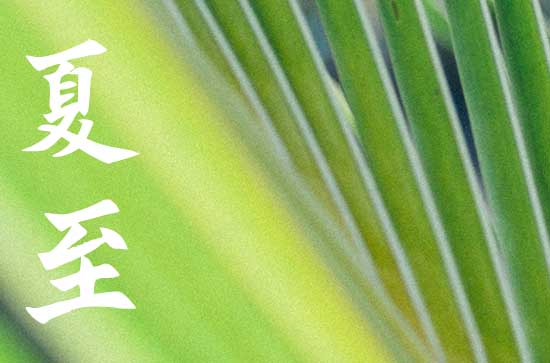 2024年夏至节气时间 几点开始几点结束