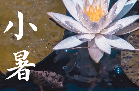 小暑小暑热气犹小 小暑的气候特征