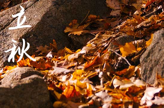 2024年立秋是哪一天 2024年8月7日立秋当天安装房门好吗