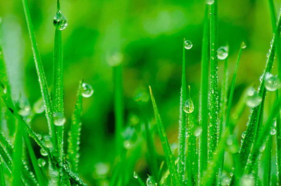 湖南梅雨季节是不是天气很冷 湖南梅雨季节天气怎么样