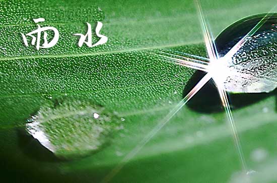 2024年雨水是什么时候 2024雨水节气怎么计算