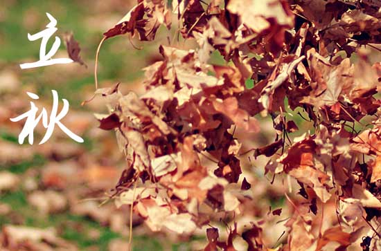 2024立秋是哪一天 2024年8月7日立秋这天宜制作骨灰盒吗 2024立秋是哪一天 2024年8月7日立秋这天宜制作骨灰盒吗