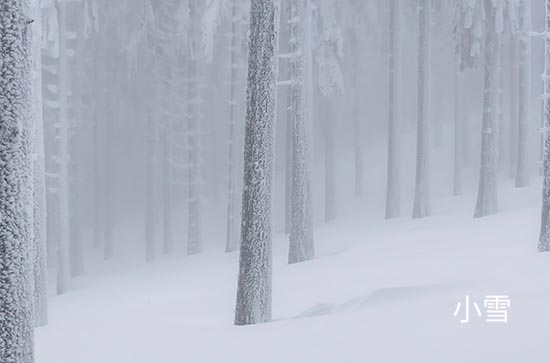 11月4日漠河不会下雨 今日小雪转阵雪温度-2℃~-20℃