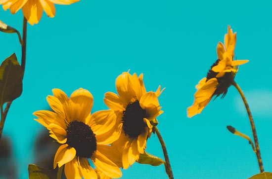 2024年三伏天日历表 三伏天应该注意些什么 2024年三伏天日历表 三伏天应该注意些什么