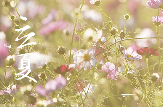 2024年什么时候立夏 2024年立夏弄挖掘池塘适合吗