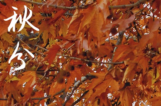 2024二十四节气秋分时节给朋友的暖心短信