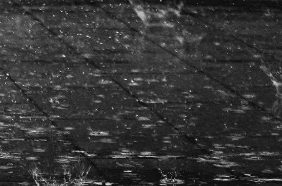 东莞12日起三天有大雨到暴雨降水过程 最强降水时段在12日白天、13日夜间到14日 东莞12日起三天有大雨到暴雨降水过程 最强降水时段在12日白天、13日夜间到14日