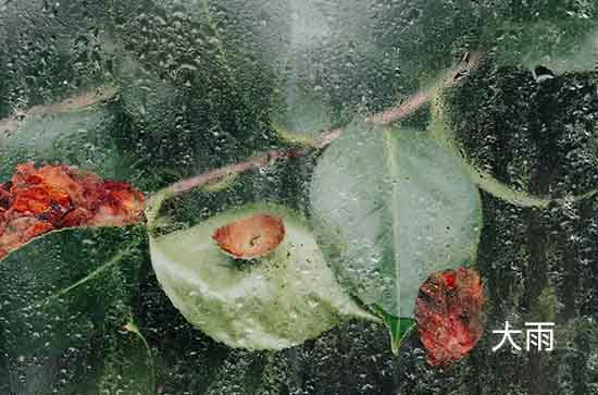 6月14日温州会下雨 今日中到大雨温度25℃~22℃