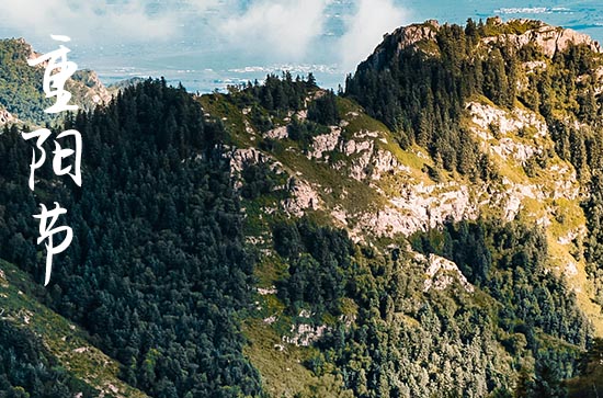 九九重阳节祝福语2023