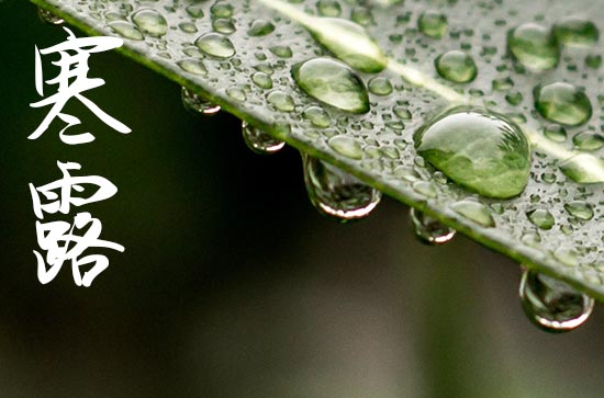 寒露是2024的几月几日 寒露的含义主要体现