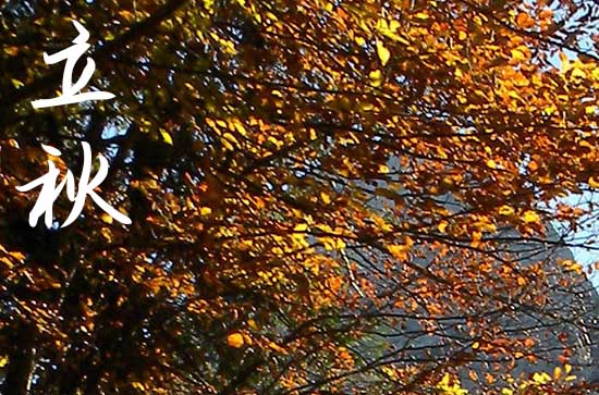 2024年立秋是几点几分几秒 2024年立秋可以塞穴吗