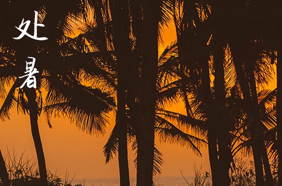 2024年处暑几月几日 2024年8月22日处暑这天适合合嵴吗