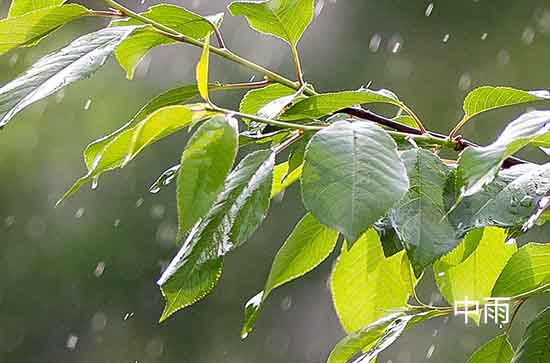 宜兰今日天气中雨转小雨 宜兰2024年11月10日天气预报